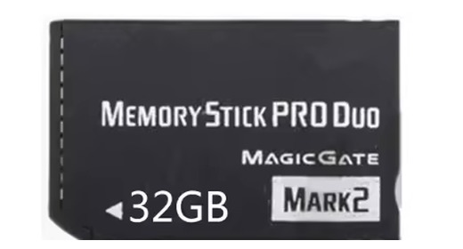 Sony Memory Stick PRO Duo card on a white background