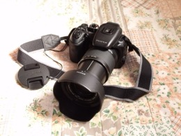 Fujifilm FinePix S100FS product image