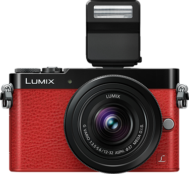 Panasonic Lumix DMC-GM5 product image