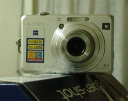 Sony Cyber-shot DSC-W100 product image